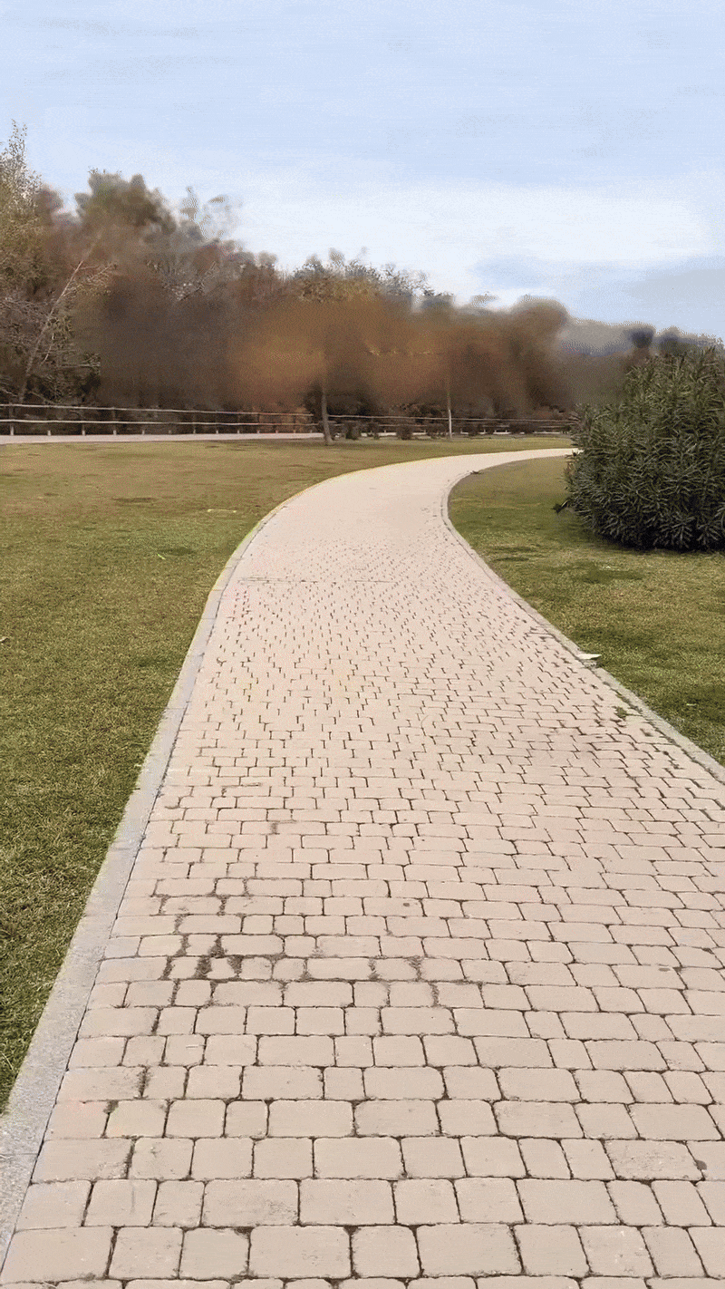 FlexAnkle | Biedt optimale ondersteuning en stabiliteit.